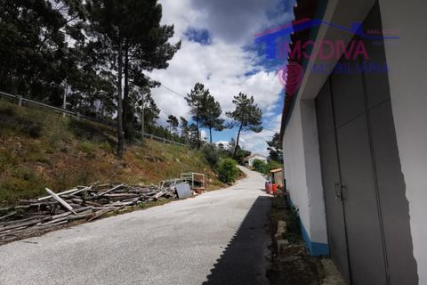 Erhvervsejendom i Macao, Santarem, Macao - € 39.000 | Ref: HP319/0524 - foto 18