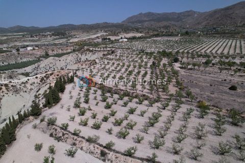 Villa a Lucar, Almeria, Lucar - € 249.995 | Ref: AH-13755 - foto 15