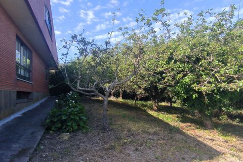 Villa a Getxo, Vizcaya, Getxo - € 1.690.000 | Ref: 470 - foto 15