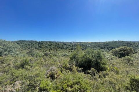 Helårsgrund i Tomar, Santarem, Tomar - € 95.000 | Ref: A382024 - foto 1