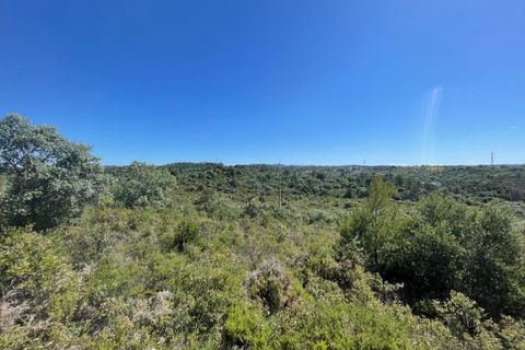 Helårsgrund i Tomar, Santarem, Tomar - € 95.000 | Ref: A382024 - foto 2