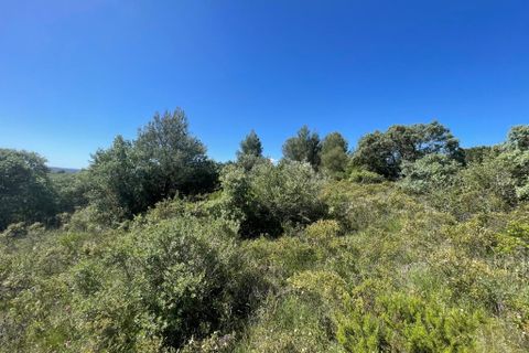 Helårsgrund i Tomar, Santarem, Tomar - € 95.000 | Ref: A382024 - foto 4