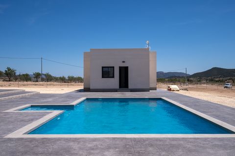 Villa i Pinoso, Alicante, Pinoso - € 518.000 | Ref: CF3039 - foto 42