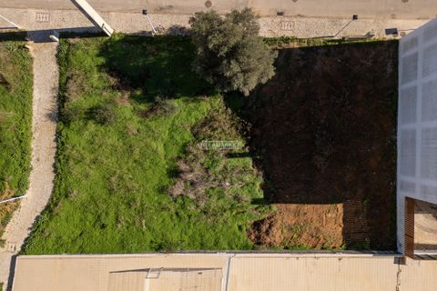 Villa a Tunes, Faro, Tunes - € 459.000 | Ref: JF-312 - foto 17