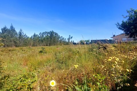 Helårsgrund i Trofa, Porto, Trofa - € 475.000 | Ref: AV-0011001-12 - foto 2