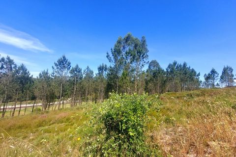 Helårsgrund i Trofa, Porto, Trofa - € 475.000 | Ref: AV-0011001-12 - foto 4