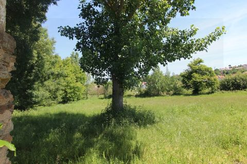 Landejendom i Arganil, Coimbra, Arganil - € 275.000 | Ref: CAS_1034 - foto 3