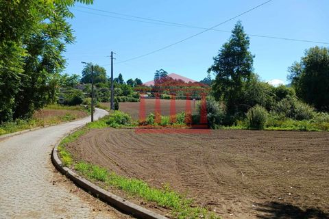 Helårsgrund i Barcelos, Braga, Barcelos - € 67.000 | Ref: 272T00995 - foto 5