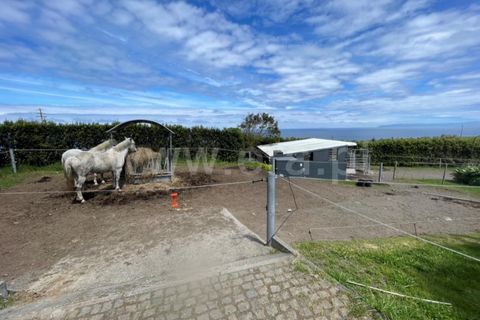 Erhvervsejendom i Horta, Faial, Horta - € 2.200.000 | Ref: 374240138 - foto 23
