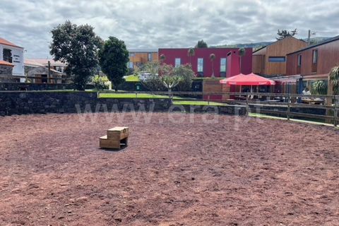 Erhvervsejendom i Horta, Faial, Horta - € 2.200.000 | Ref: 374240138 - foto 15