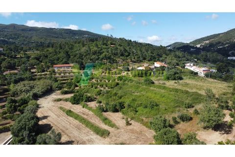 Erhvervsejendom i Monchique, Faro, Monchique - € 450.000 | Ref: QTA-6521 - foto 9