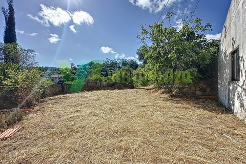 Erhvervsejendom i Monchique, Faro, Monchique - € 450.000 | Ref: QTA-6521 - foto 16