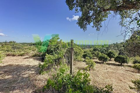 Erhvervsejendom i Monchique, Faro, Monchique - € 450.000 | Ref: QTA-6521 - foto 10