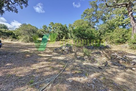 Erhvervsejendom i Monchique, Faro, Monchique - € 450.000 | Ref: QTA-6521 - foto 17