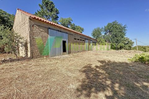 Erhvervsejendom i Monchique, Faro, Monchique - € 450.000 | Ref: QTA-6521 - foto 4