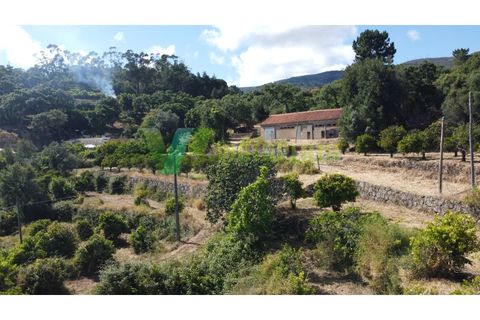 Erhvervsejendom i Monchique, Faro, Monchique - € 450.000 | Ref: QTA-6521 - foto 7