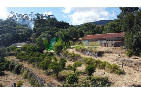 Erhvervsejendom i Monchique, Faro, Monchique - € 450.000 | Ref: QTA-6521 - foto 18