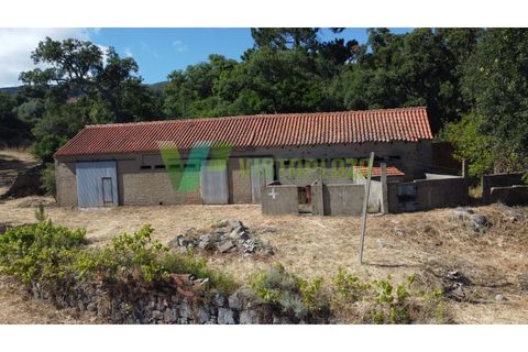 Erhvervsejendom i Monchique, Faro, Monchique - € 450.000 | Ref: QTA-6521 - foto 5