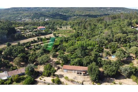 Erhvervsejendom i Monchique, Faro, Monchique - € 450.000 | Ref: QTA-6521 - foto 19