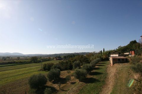 Villa in Sinalunga, Siena, Sinalunga - € 89.000 | Ref: CS222 - foto 8