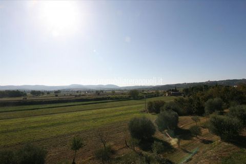 Villa in Sinalunga, Siena, Sinalunga - € 89.000 | Ref: CS222 - foto 9
