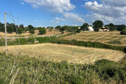 Landejendom i Ostuni, Brindisi, Ostuni - € 170.000 | Ref: 282 - foto 20