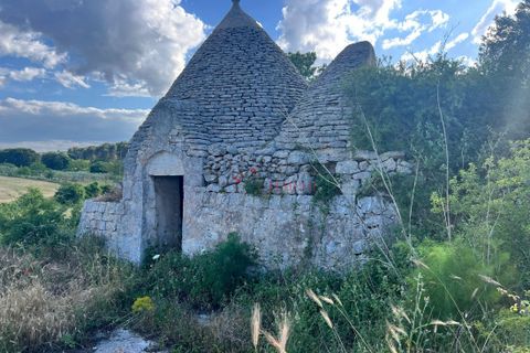Landejendom i Ostuni, Brindisi, Ostuni - € 170.000 | Ref: 282 - foto 15