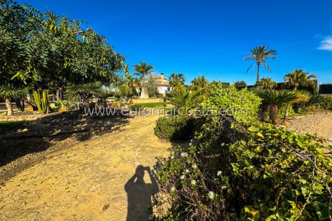Villa i Orihuela, Alicante, Orihuela - € 850.000 | Ref: 4402 - foto 12