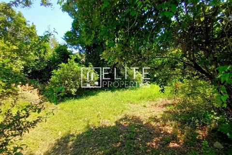 Villa i Mougins, Alpes-Maritimes, Mougins - € 749.000 | Ref: 84792132 - foto 16