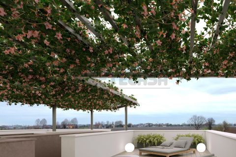 Helårsgrund i Longare, Vicenza, Longare - € 135.000 | Ref: MLtedV001 - foto 6