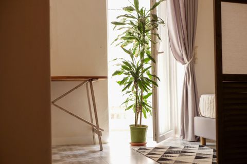 Villa i Ostuni, Brindisi, Ostuni - € 615.000 | Ref: 771 - foto 2