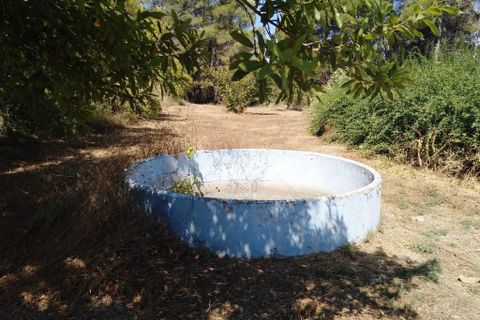 Finca i Ontinyent, Valencia, Ontinyent - € 350.000 | Ref: 2954 - foto 13
