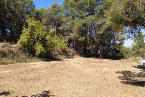 Finca i Ontinyent, Valencia, Ontinyent - € 350.000 | Ref: 2954 - foto 14