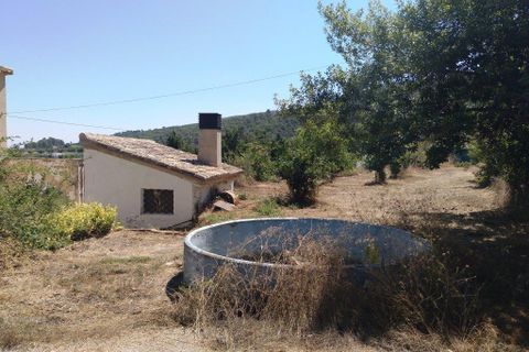 Finca i Ontinyent, Valencia, Ontinyent - € 350.000 | Ref: 2954 - foto 19
