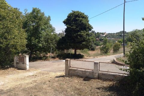 Finca i Ontinyent, Valencia, Ontinyent - € 350.000 | Ref: 2954 - foto 21