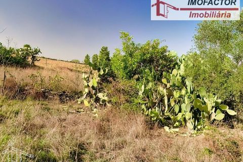 Helårsgrund i Castelo Branco, Castelo Branco, Castelo Branco - € 10.000 | Ref: 21-11760 - foto 1