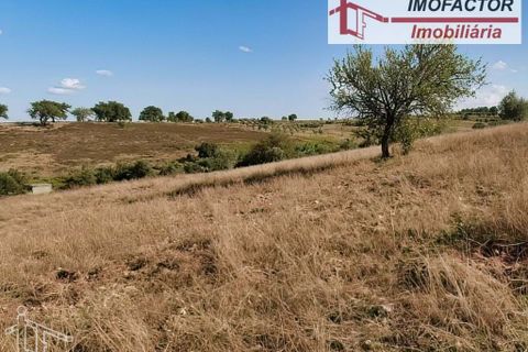 Helårsgrund i Castelo Branco, Castelo Branco, Castelo Branco - € 10.000 | Ref: 21-11760 - foto 5