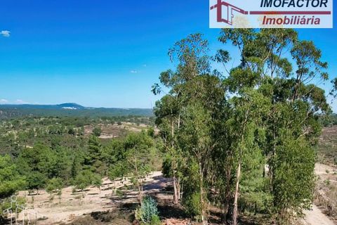 Helårsgrund i Castelo Branco, Castelo Branco, Castelo Branco - € 10.000 | Ref: 21-11760 - foto 6