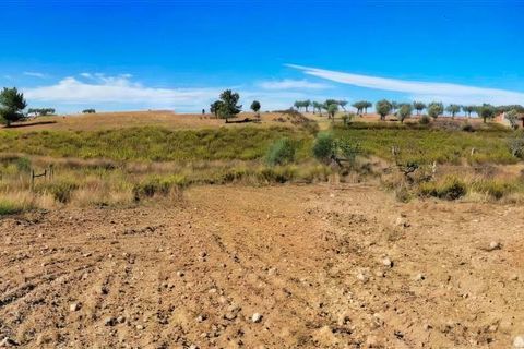 Helårsgrund i Perais, Castelo Branco, Perais - € 37.000 | Ref: 21-11755 - foto 22