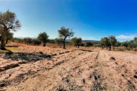 Helårsgrund i Perais, Castelo Branco, Perais - € 37.000 | Ref: 21-11755 - foto 23