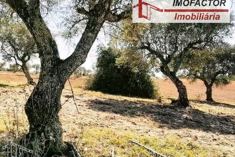 Helårsgrund i Perais, Castelo Branco, Perais - € 37.000 | Ref: 21-11755 - foto 2