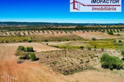 Helårsgrund i Perais, Castelo Branco, Perais - € 37.000 | Ref: 21-11755 - foto 3