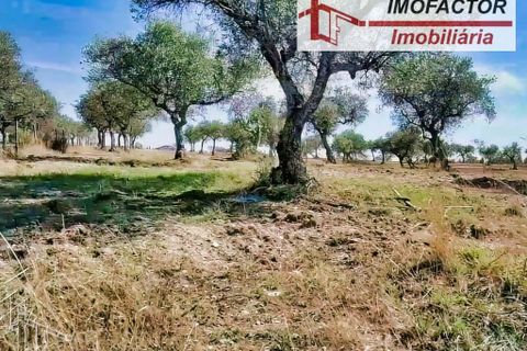 Helårsgrund i Perais, Castelo Branco, Perais - € 37.000 | Ref: 21-11755 - foto 4