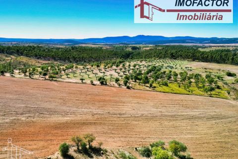 Helårsgrund i Perais, Castelo Branco, Perais - € 37.000 | Ref: 21-11755 - foto 6