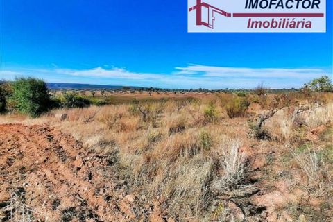 Helårsgrund i Perais, Castelo Branco, Perais - € 37.000 | Ref: 21-11755 - foto 7