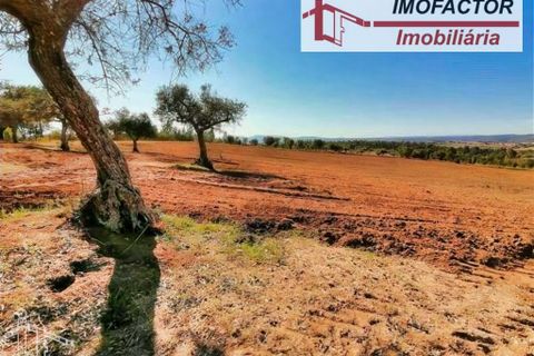Helårsgrund i Perais, Castelo Branco, Perais - € 37.000 | Ref: 21-11755 - foto 8