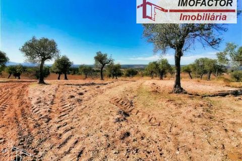 Helårsgrund i Perais, Castelo Branco, Perais - € 37.000 | Ref: 21-11755 - foto 9