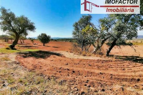 Helårsgrund i Perais, Castelo Branco, Perais - € 37.000 | Ref: 21-11755 - foto 10