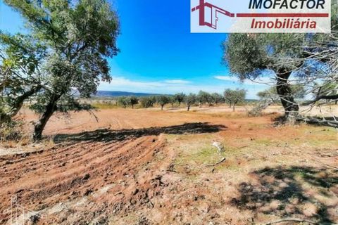 Helårsgrund i Perais, Castelo Branco, Perais - € 37.000 | Ref: 21-11755 - foto 11