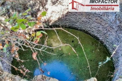 Helårsgrund i Perais, Castelo Branco, Perais - € 37.000 | Ref: 21-11755 - foto 13
